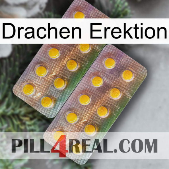 Dragon Erection new10.jpg